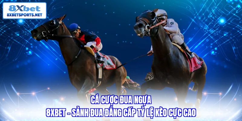 Cá Cược Đua Ngựa 8XBET - Sảnh Đua Đẳng Cấp Tỷ Lệ Kèo Cực Cao Quy trình tham gia cá cược đua ngựa 8XBET đơn giản